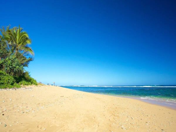 Kauai Beautifully Renovated Three-Bedroom Retreat